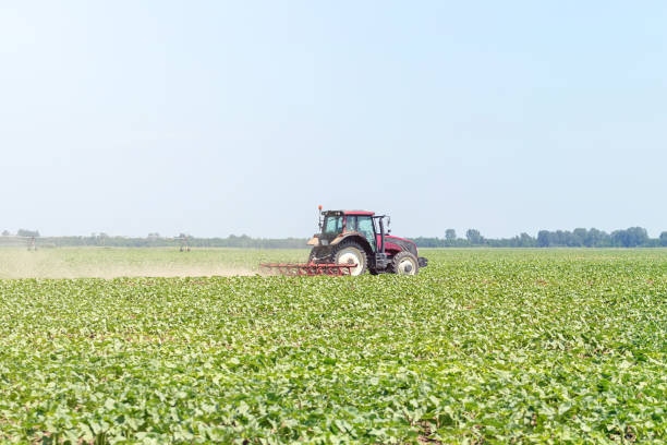 istock Tractor in the green field. Agriculture machine. 1057173200