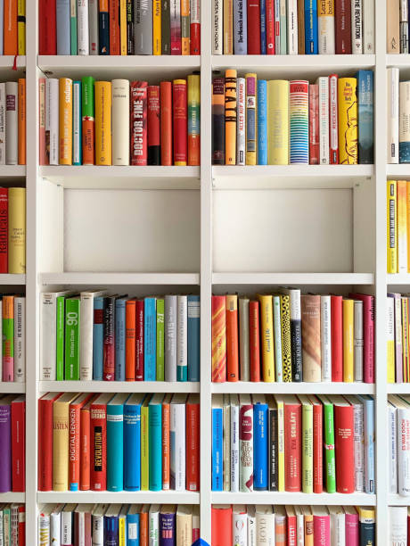 istock Library shelves and two parts empty 1057181054