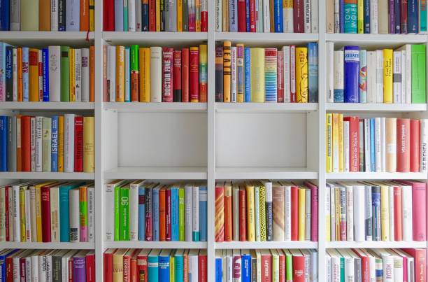 istock Library shelves and two parts empty 1057181074