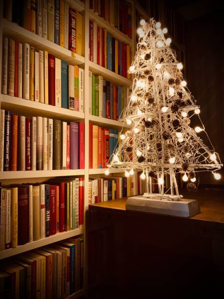 istock Illuminated christmas tree standing in the library 1057183490