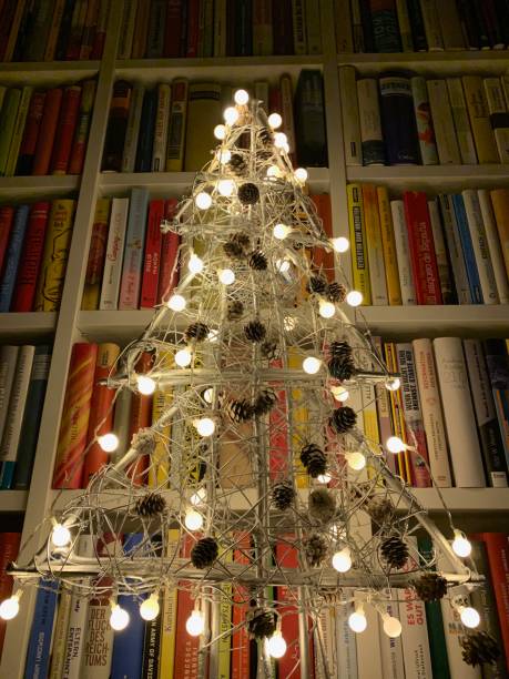 istock Illuminated christmas tree standing in the library 1057183544