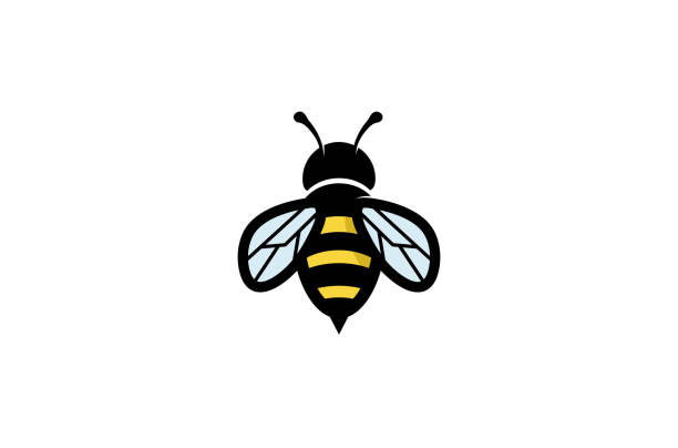 ilustrações de stock, clip art, desenhos animados e ícones de creative geometric bee logo - abelhas