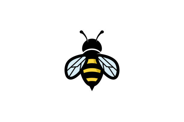 ilustrații de stoc cu creative geometric bee logo - albină