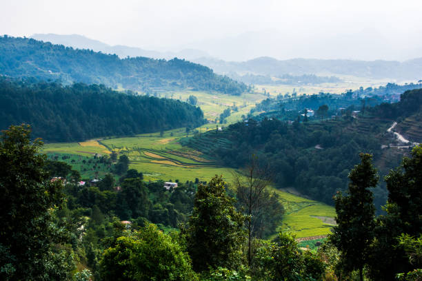 istock Nepal rice paddy field and village hill 1057189330