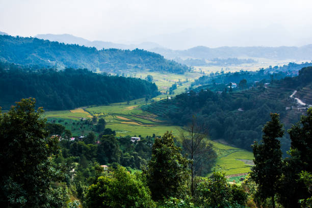 istock Nepal rice paddy field and village hill 1057189348