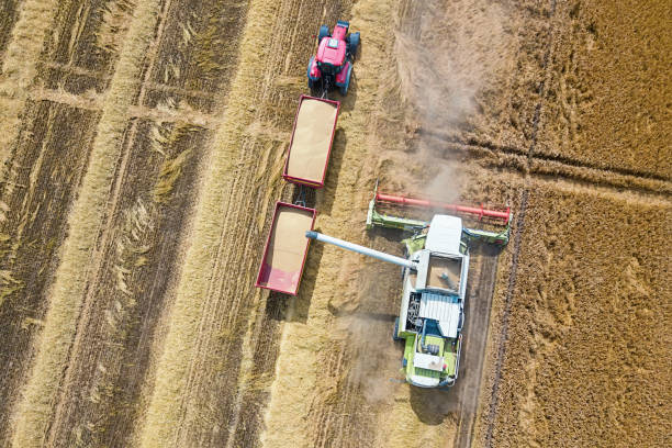 istock Combine harvester working on a wheat field. Combine harvester Aerial view. 1057190140