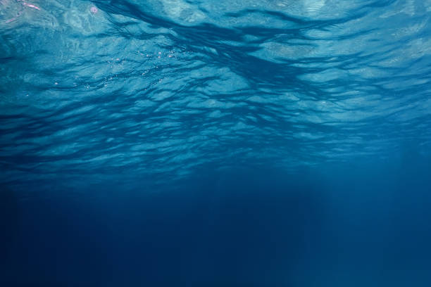 istock Underwater view of the sea surface 1057194742