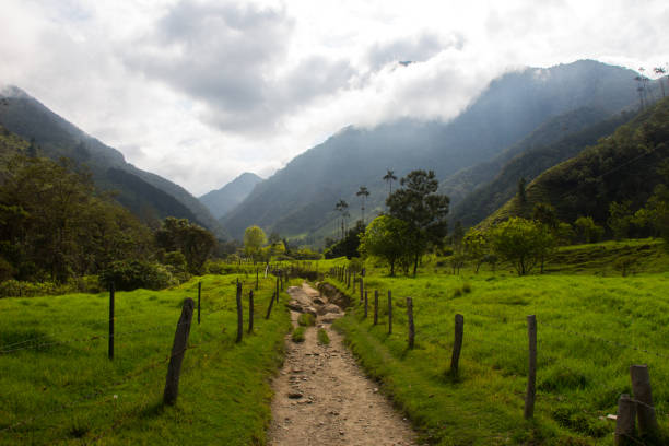 istock Cocora Valley, Salento, Colombia 1057195726