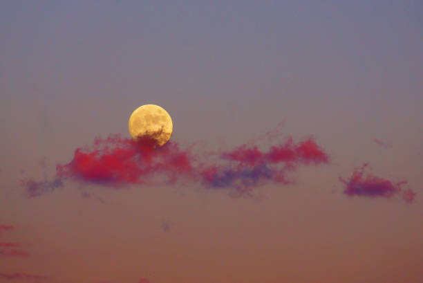 夕焼けの月 - 月見 ストックフォトと画像