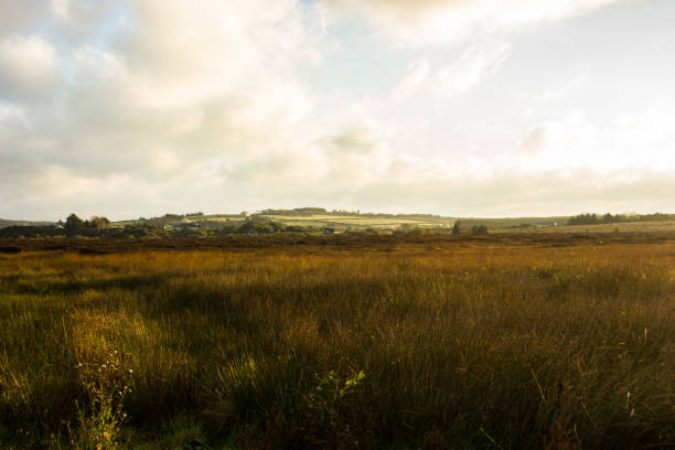 The highest point on Bodmin Moor