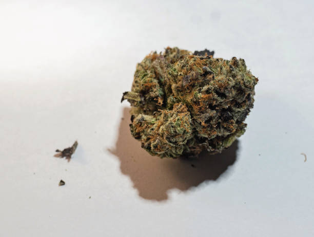 istock High-Grade Marijuana Cannabis Bud Close Up 1057209276