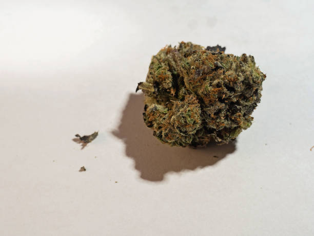 istock High-Grade Marijuana Cannabis Bud Close Up 1057209478