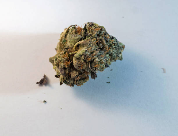 istock High-Grade Marijuana Cannabis Bud Close Up 1057209502