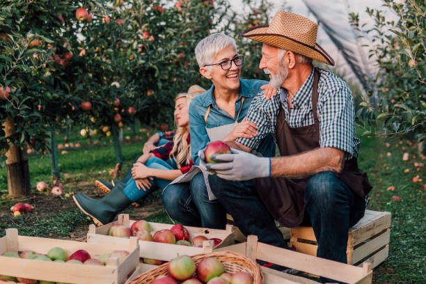 istock Couple at apple orchard 1057212882