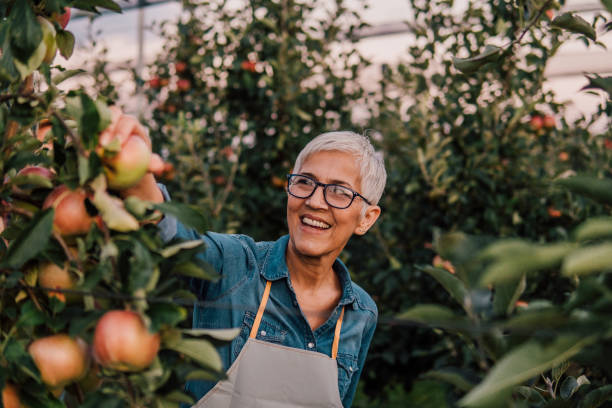 istock Happy woman picking up apples 1057217650