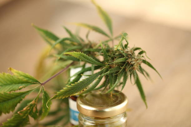 istock marijuana medical cannabis oil cbd 1057218336