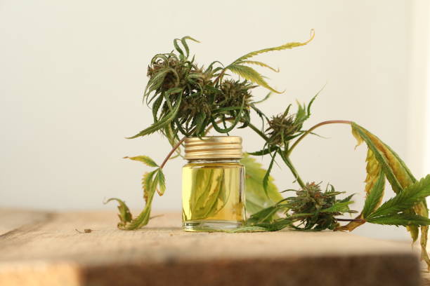 istock marijuana medical cannabis oil cbd 1057218466