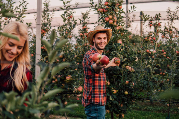 istock Couple at apple orchard 1057218736