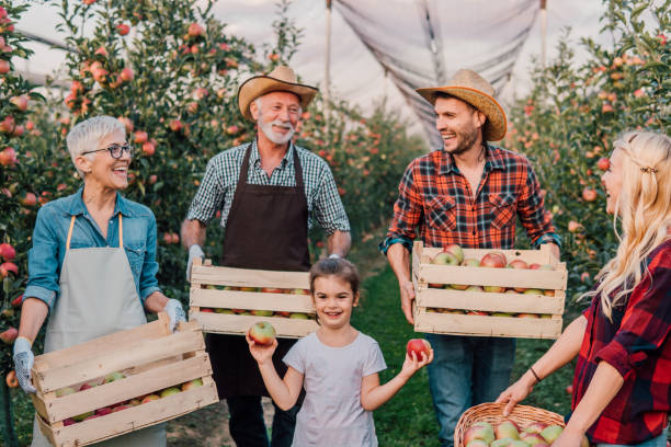 istock Child picking up apples with her parents 1057219094