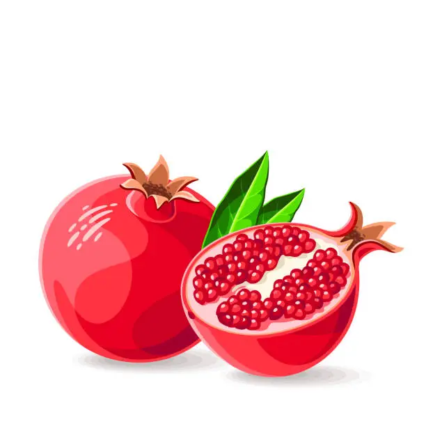 Vector illustration of Pomegranate whole and a piece with leaves on white. Vector illustration. No gradients