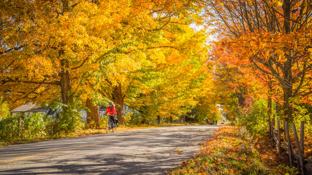 Cyclist in the beautiful autumn scenery Eastern Townships, Canada - October, 14 2018 - On the way to Pigeon Hill, a small village in the eastern townships, this woman cyclist stroll and enjoy the tranquility of the place and the beautiful colorful landscapes of autumn in Quebec.  It's a beautiful autumn day where colors are at their peak. montérégie photos stock pictures, royalty-free photos & images