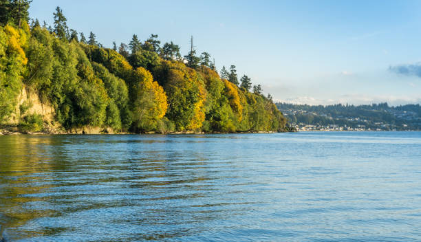 istock Autumn Shoreline Scene 3 1057229806