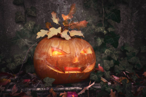 istock Halloween pumpkin outdoors with candle inside and ivy leaves 1057248536