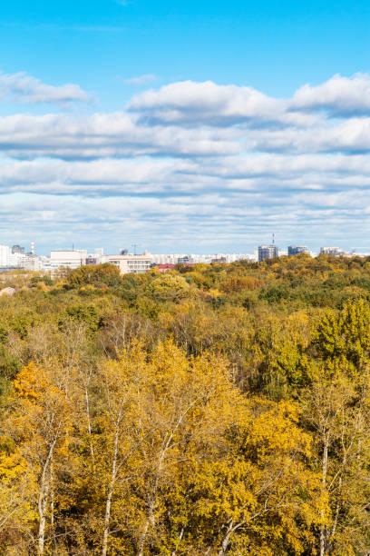 istock clouds in blue sky over colorful forest and town 1057258838