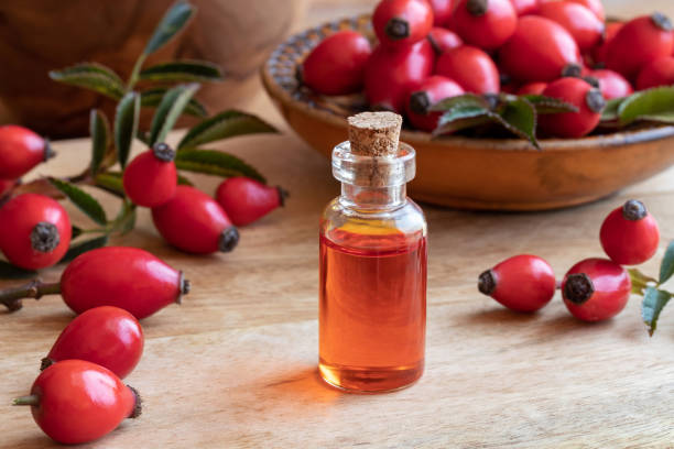 A bottle of rose hip seed oil with rose hips A bottle of rose hip seed oil with fresh rose hips rose hip stock pictures, royalty-free photos & images