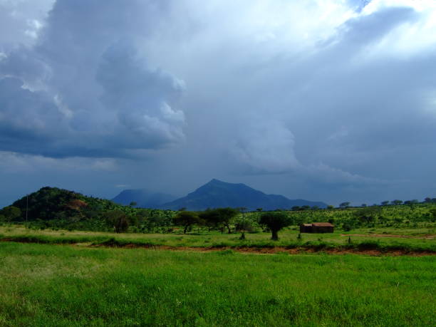 thunderstorm Thunderstorm, Safari, Kenya gewitter stock pictures, royalty-free photos & images