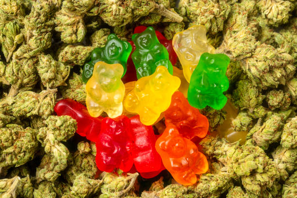 Organic Marijuana Gummy Bear Candies Stack of Organic Marijuana Gummy Bear Candies close up cannabis gummy bears stock pictures, royalty-free photos & images