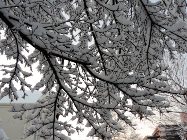 istock tokyo after snow.4 1057297534