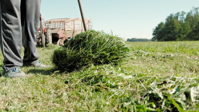 SLO MO Farmer raking grass