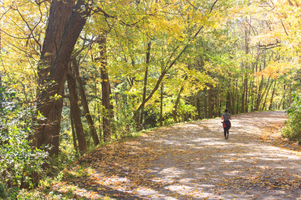 istock Autumn running in the park 1057329598