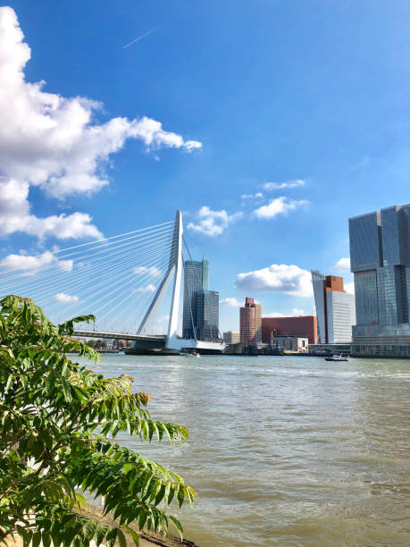 Rotterdam, Netherlands - SEPTEMBER 30, 2018: panoramic view of Rotterdam