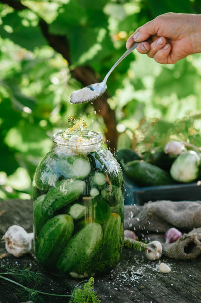 istock Pickled cucumbers with herbs and spices 1057333002
