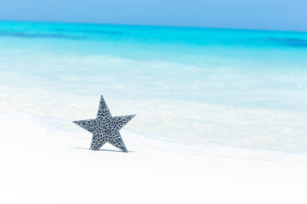 Starfish on the summer beach in sea water. Summer background. Summer time.