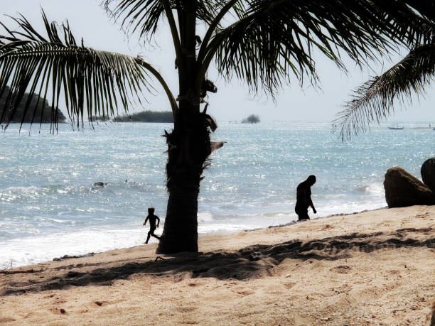 istock silhouetted people on sandy beach with palm tree 1057336432