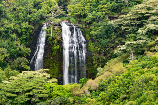 istock Opaekaa Falls in Kauai Hawaii 1057347436