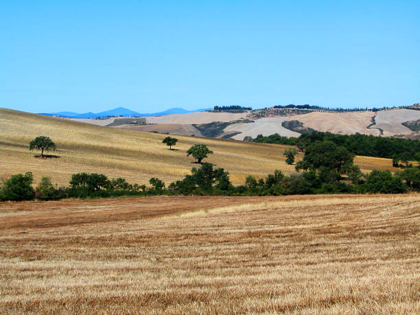 istock Landscape of Orcia`s Valley 1057347454