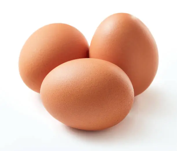 Photo of set of egg isolated