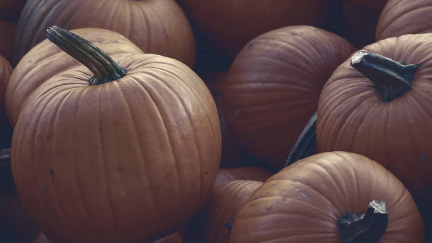 istock Harvest: Heap of Red Pumpkins, Cucurbita maxima 1057351166