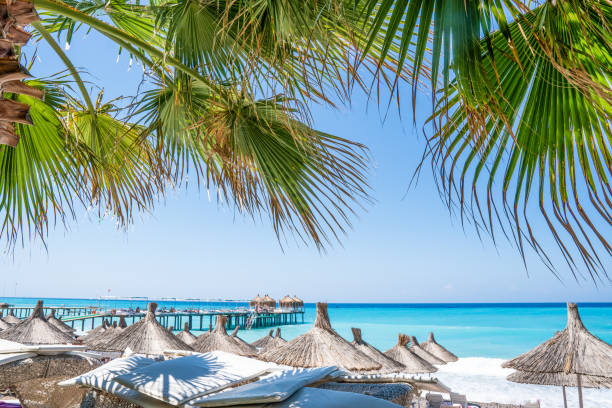 istock Palm and tropical beach. Tourism vacation concept. 1057351458