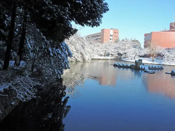Photo of Tsukuba city in winter