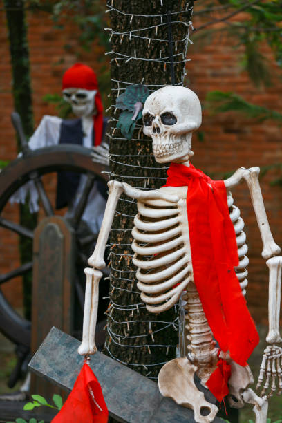 istock Front side view of human skull zombie man. Horror, Halloween concept. 1057359714