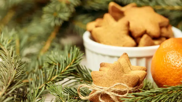 Gingerbread Cookie. Delicious tangerine. Fir branch. NewYear. Small stars.