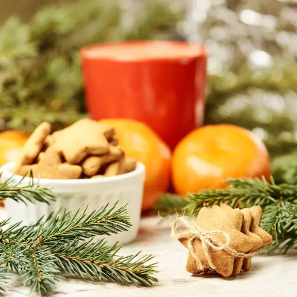 NewYear. Gingerbread Cookie. Orange tangerines. Spruce branch.