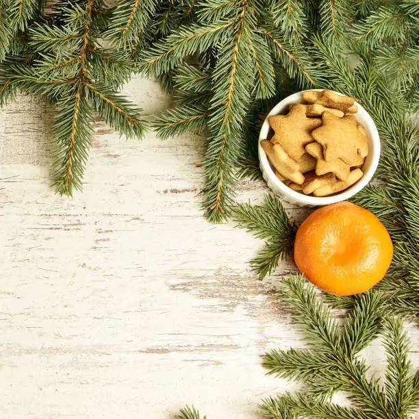 Delicious ginger biscuits. One tasty tangerine. Fir branch. NewYear.