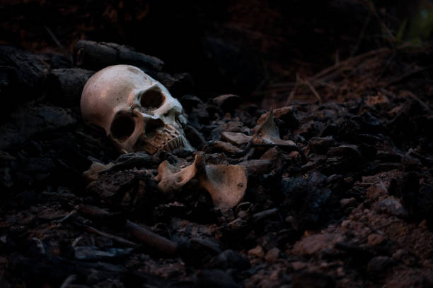 череп и кости, выкопанные из ямы на страшном кладбище, которое имеет тусклый свет - мертвое тело стоковые фото и изображения