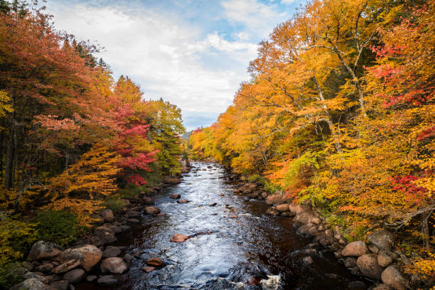 istock Boreal Forest Nature and River in Autumn Season, Quebec, Canada 1057377062